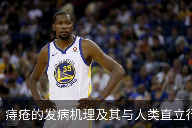 痔疮的发病机理及其与人类直立行走的关联性研究